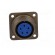 Connector: circular | Series: 97 | socket,plug | female | PIN: 5 | 13A image 9
