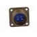 Connector: circular | Series: 97 | socket,plug | male | PIN: 2 | 13A image 9