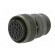 Connector: circular | size 20 | MS/DS | aluminium alloy | olive | plug image 2