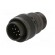 Connector: circular | Series: DS/MS | plug | male | PIN: 10 | for cable image 2