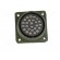 Connector: circular | Series: DS/MS | socket | female | PIN: 26 | 13A image 9