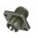 Connector: circular | Series: DS/MS | socket | female | PIN: 3 | 13A image 6
