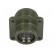 Connector: circular | size 14S | MS/DS | aluminium alloy | olive | 13A image 5