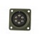 Connector: circular | Series: DS/MS | socket | female | PIN: 6 | 13A image 9