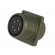 Connector: circular | Series: DS/MS | socket | female | PIN: 6 | 13A image 2