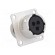 Connector: circular | Series: RT360 | socket | female | PIN: 3 | IP67 image 8