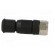 Connector: M8 | female | PIN: 3 | straight | for cable | plug | 4A | IP67 paveikslėlis 7