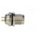 Connector: M8 | female | PIN: 3 | straight | for panel mounting | socket image 7