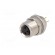 Connector: M8 | female | PIN: 3 | for panel mounting,front side nut paveikslėlis 2