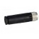 Connector: M8 | female | PIN: 4 | straight | for cable | plug paveikslėlis 7