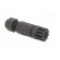 Connector: M8 | female | PIN: 4 | straight | for cable | plug | IP67 paveikslėlis 8