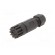 Connector: M8 | female | PIN: 4 | straight | for cable | plug | IP67 paveikslėlis 2