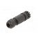 Connector: M8 | female | PIN: 4 | straight | for cable | plug | IP67 image 6