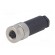 Connector: M8 | female | PIN: 4 | straight | unshielded | for cable | plug paveikslėlis 2
