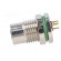 Connector: M8 | female | PIN: 5 | for panel mounting,front side nut image 3