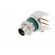 Connector: M8 | male | PIN: 2 | angled 90° | on PCBs | socket | 4A | IP68 image 2
