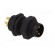 Connector: M8 | male | PIN: 3 | for panel mounting | socket | 3A | IP67 фото 8