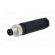 Connector: M8 | male | PIN: 3 | straight | for cable | plug image 2