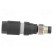 Connector: M8 | male | PIN: 3 | straight | for cable | plug | 4A | IP65/IP67 paveikslėlis 7