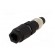 Connector: M8 | male | PIN: 3 | straight | for cable | plug | 4A | IP65/IP67 paveikslėlis 6