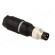 Connector: M8 | male | PIN: 3 | straight | for cable | plug | 4A | IP65/IP67 paveikslėlis 8