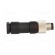 Connector: M8 | male | PIN: 3 | straight | for cable | plug | 4A | IP67 | 60V image 7