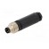 Connector: M8 | male | PIN: 3 | straight | for cable | plug | 4A | IP67 | 60V paveikslėlis 2