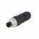 Connector: M8 | male | PIN: 3 | straight | for cable | plug | E | 4A | IP67 image 2