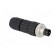 Connector: M8 | male | PIN: 3 | straight | for cable | plug | E | 4A | IP67 image 8