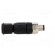 Connector: M8 | male | PIN: 3 | straight | for cable | plug | IP67 | 4÷5.5mm paveikslėlis 7