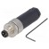 Connector: M8 | male | PIN: 3 | straight | unshielded | for cable | plug image 1