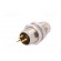 Connector: M8 | male | PIN: 3 | for panel mounting,rear side nut фото 6