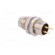 Connector: M8 | male | PIN: 3 | for panel mounting,rear side nut image 4