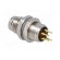 Connector: M8 | male | PIN: 4 | for panel mounting,rear side nut paveikslėlis 4