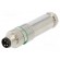 Connector: M8 | male | PIN: 4 | straight | for cable | plug | 3A | IP65,IP67 image 1