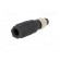 Connector: M8 | male | PIN: 4 | straight | for cable | plug | 4A | IP65/IP67 image 6