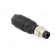 Connector: M8 | male | PIN: 4 | straight | for cable | plug | 4A | IP65/IP67 image 8