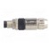 Connector: M8 | male | PIN: 4 | straight | for cable | plug | 4A | IP67 | 32V paveikslėlis 3