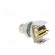 Connector: M8 | male | PIN: 5 | angled 90° | on PCBs | socket | 1.5A | IP68 image 4