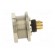 Connector: M9 | socket | female | Plating: gold-plated | 125V | IP67 image 3