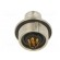 Connector: M9 | socket | male | Plating: gold-plated | 125V | IP67 | PIN: 8 фото 5