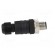 Plug | M12 | PIN: 3 | male | A code-DeviceNet / CANopen | for cable image 7