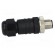 Plug | M12 | PIN: 4 | male | A code-DeviceNet / CANopen | for cable фото 7