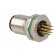 Socket | M12 | PIN: 12 | male | A code-DeviceNet / CANopen | THT | IP67 image 5