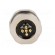 Socket | M12 | PIN: 5 | male | A code-DeviceNet / CANopen | soldering фото 5