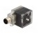 Adapter | M12 male,DIN 43650 plug | PIN: 3 | angled 90° | Case: form A image 2