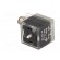 Adapter | M12 male,DIN 43650 plug | PIN: 3 | angled 90° | Case: form A image 4