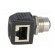 Adapter | M12 female,RJ45 socket | D code-Ethernet | PIN: 4 | Cat: 5e image 9