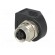 Adapter | RJ45 socket,M12 female | D code-Ethernet | PIN: 4 | Cat: 5e image 4