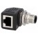 Adapter | RJ45 socket,M12 male | D code-Ethernet | PIN: 4 | Cat: 5e image 1